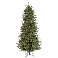 Vickerman 12' x 66" Artificial Carver Frasier Slim 1,500 Clear Lights