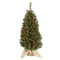 Vickerman 36" x 18" Artificial Felton Pine 50 Multi-Color Lights