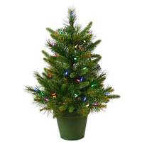 Vickerman 24" x 21" Artificial Cashmere Pine 50 Multi-Color Lights