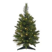 Vickerman 24" x 16" Artificial Cashmere Pine Battery Operated 30 Warm White Italian LED Lights
