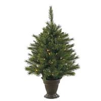 Vickerman 3.5' x 28" Artificial Cashmere Pine Battery Operated 50 Warm White Italian LED Lights