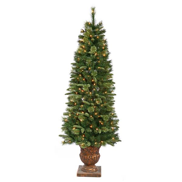 6' Artificial Euclid Mix Pine Potted 70 Clear Lights
