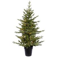 Vickerman 3.5' X 28" Artificial Cason Fraiser Fir 100 Clear Lights