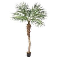 Vickerman 8' Potted Artificial Phoenix Palm