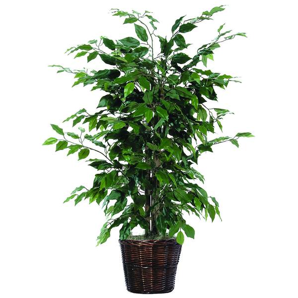 4' Artificial Ficus Bush