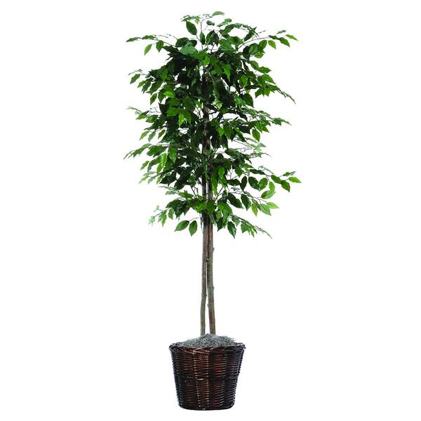 6' Artificial Ficus Tree