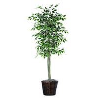 Vickerman 6' Artificial Variegated Ficus Tree