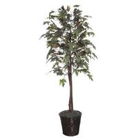 Vickerman 6' Artificial Frosted Maple Tree