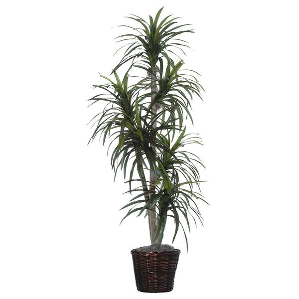 6.5' Artificial Marginata Executive Tree