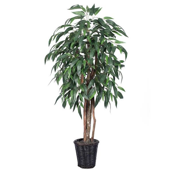 7' Artificial Mango Executive Tree in Dark Brown Rattan Basket