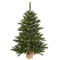Vickerman 3' Artificial Anoka Pine 100 Clear Miniature Lights