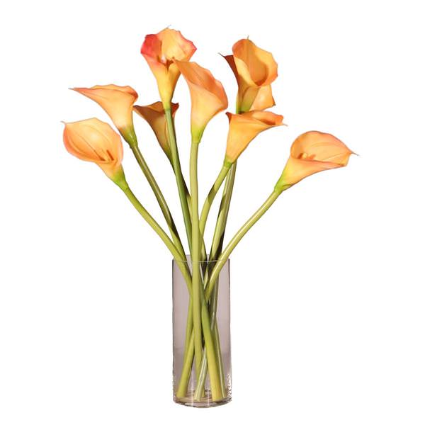 24" Artificial Peach Calla Lilies with Acrylic Water