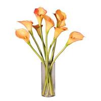 Vickerman 24" Artificial Peach Calla Lilies with Acrylic Water
