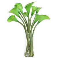 Vickerman 24" Artificial Green Calla Lilies in Glass Cylinder