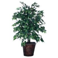 Vickerman 4' Artificial American Elm Bush