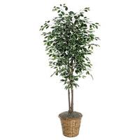 Vickerman 6' Artificial Varietgated Ficus Deluxe Tree