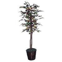 Vickerman 6' Artificial Mystic Ficus Tree