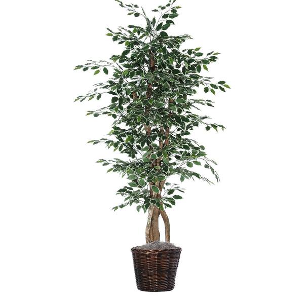 6' Artificial Variegated Ficus Executive Tree
