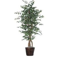 Vickerman 6' Artificial Variegated Ficus Executive Tree
