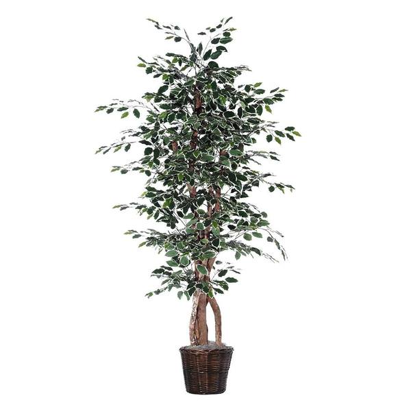 7' Artificial Variegated Ficus Executive Tree