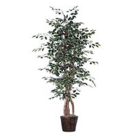 Vickerman 7' Artificial Variegated Ficus Executive Tree