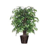 Vickerman 48" Artificial Ficus Extra Full in Dark Brown Rattan Conatiner
