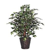 View 4' Artificial Variegated Ficus Extra Full Tree