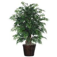 Vickerman 48" Artificial Ming Aralia Extra Full in Dark Brown Rattan Container