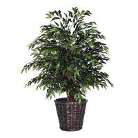 Vickerman 4' Artificial Green Smilax Extra Full Bush