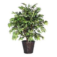 Vickerman 4' Artificial American Elm Extra Full Bush