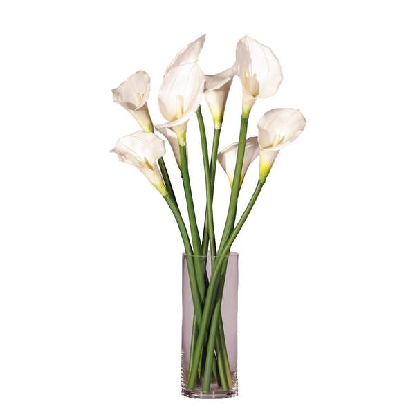 24" Artificial White Calla Lilies in Glass Cylinder