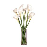 View 24" Artificial White Calla Lilies in Glass Cylinder
