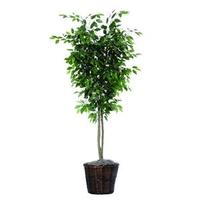 Vickerman 6' Artificial Ficus Deluxe Tree