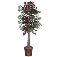 Vickerman 6' Artificial Capensia Deluxe Tree