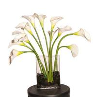Vickerman 24" Artificial White Calla Lilies in Oval Glass Vase