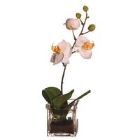 Vickerman 14" Artificial Small Orchid in Soil