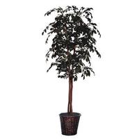 Vickerman 6' Artificial Sakaki Deluxe in Dark Brown Rattan Container