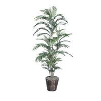 Vickerman 6' Artificial Areca Palm Deluxe