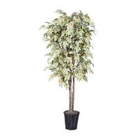 Vickerman 72" Potted Artificial Deluxe Frosted Maple Tree
