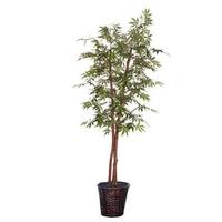 Vickerman 6' Artificial Japanese Maple Deluxe Tree