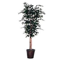 Vickerman 6' Artificial Paper Birch Deluxe Tree