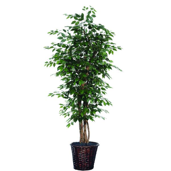 6' Artificial Ficus Executive Tree