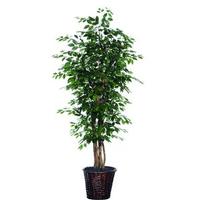 View 6' Artificial Ficus Executive Tree