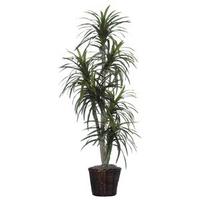 Vickerman 6' Artificial Marginata Executive Tree