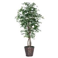 Vickerman 72" Artificial Black Olive Executive Tree