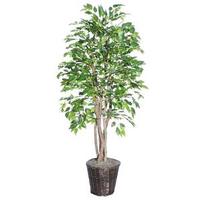 Vickerman 6' Artificial American Elm Executive Tree