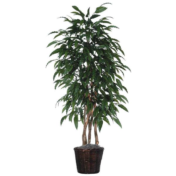 72" Artificial Mango Executive in Dark Brown Rattan Basket