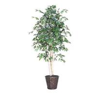 Vickerman 6' Artificial Paper Birch Executive Tree