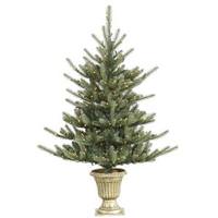 Vickerman 5' x 44" Artificial Colorado Blue Spruce 280 Warm White Wide Angle LED Lights