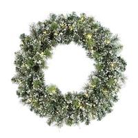 Vickerman 24" Artificial Frosted Cashmere 40 Warm White Wide Angle LED Lights